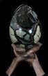 Septarian Dragon Egg Geode - Shiny Black Crystals #36048-1